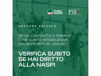 Cisl Marche, ricerca un/una operatore/operatrice per il proprio Ufficio Vertenze di Macerata – Rif. CislVertMC26