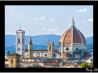 La Biblioteca dei Libri Viventi