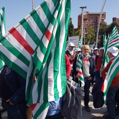 Manifestazione nazionale Cgil. Cisl, Uil - Primo Maggio a Bologna