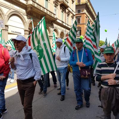 Manifestazione nazionale Cgil. Cisl, Uil - Primo Maggio a Bologna