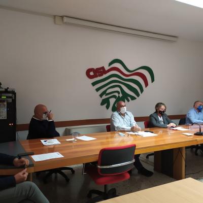 Poste Italiane, Sindacati: "Troppe criticità nelle Marche"