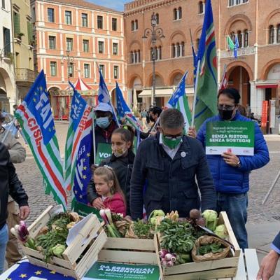 Decreto Sostegni 10 Aprile 2021  mobilitazione dei lavoratori agricoli : presidi ad Ancona e Ascoli Piceno