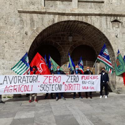 Decreto Sostegni 10 Aprile 2021  mobilitazione dei lavoratori agricoli : presidi ad Ancona e Ascoli Piceno