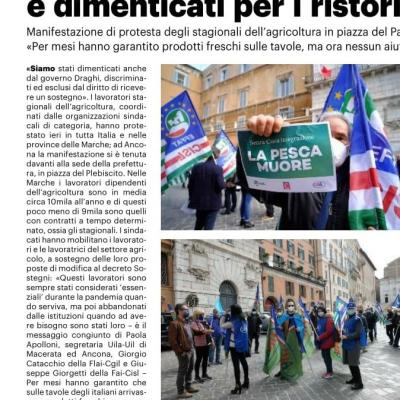 Decreto Sostegni 10 Aprile 2021  mobilitazione dei lavoratori agricoli : presidi ad Ancona e Ascoli Piceno