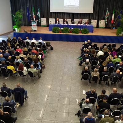 A Pesaro 300 delegati per l’Assemblea organizzativa CISL Marche .Un marchigiano su quattro usa i  servizi CISL