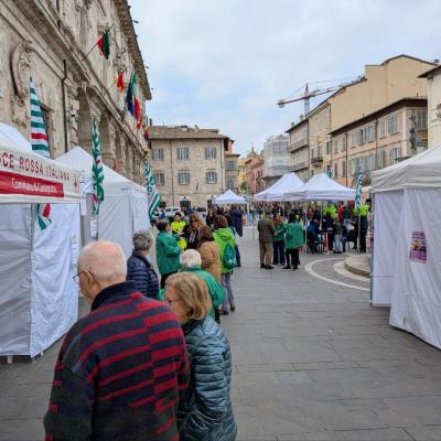 Successo per la “Carovana della Salute” FNP CISL ad Ascoli: 265 prestazioni mediche effettuate