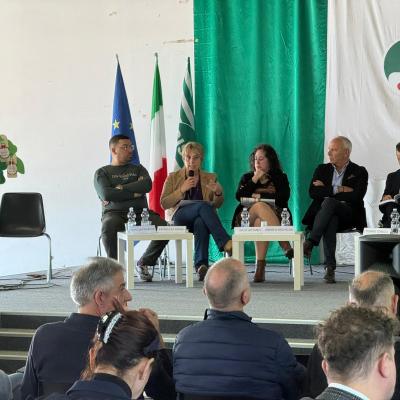 Politiche abitative, l’assessore regionale Consoli al  convegno della Cisl:   «Presto un tavolo per soluzioni condivise»