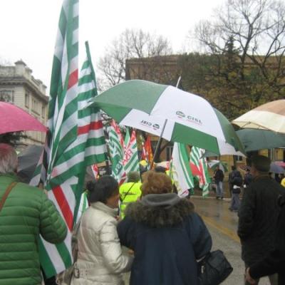 Le immagini delle manifestazioni nelle Marche