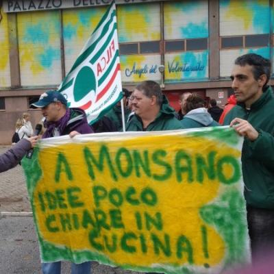 Le immagini delle manifestazioni nelle Marche