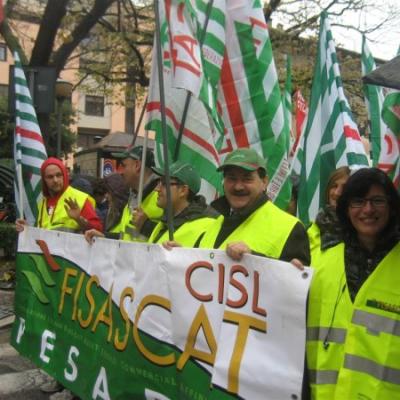 Le immagini delle manifestazioni nelle Marche