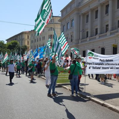 Contro la privatizzazione di Poste Italiane: 2 luglio manifestazione regionale ad Ancona