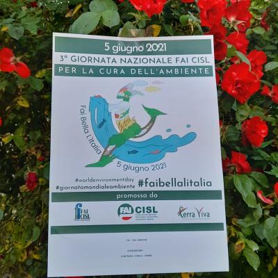 Giornata Fai Bella l'Italia 2021Fai Cisl Marche: " Ripulito il Parco del Ruzzodromo a Fermo"