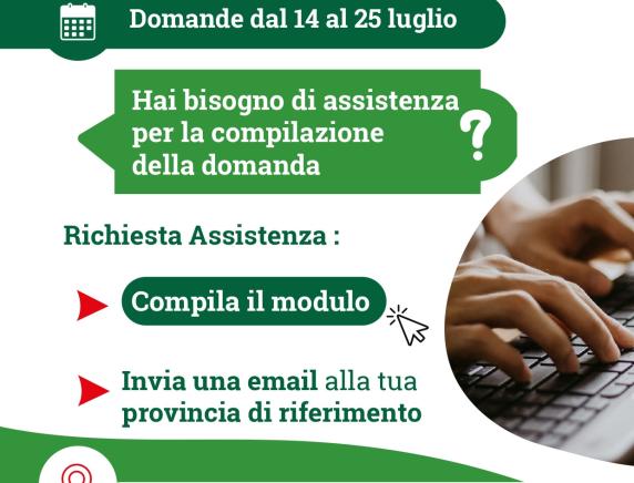 Assegnazioni provvisorie e utilizzazioni a.s.2025/2026: la CISL Scuola Marche offre assistenza per la compilazione delle domande