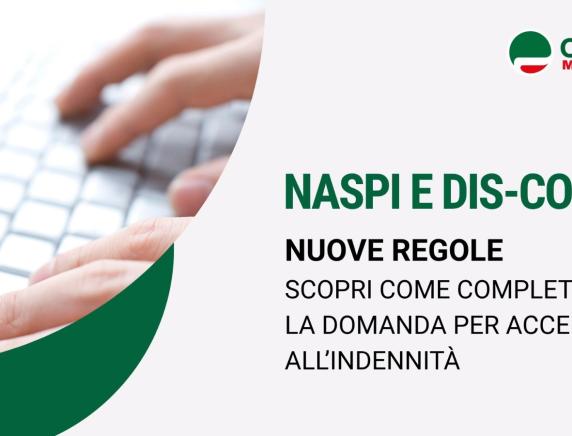 Nuove regole NASPI e DIS - COLL scopri come completare la domanda  con la Guida CISL Marche