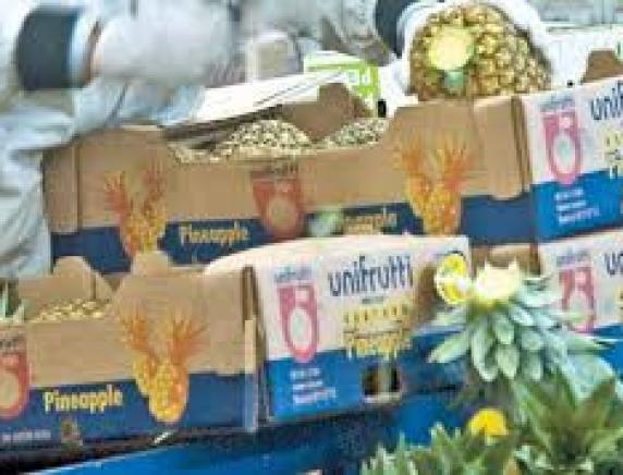 Unifrutti Distribution, sindacati in allarme: annunciati 18 licenziamenti