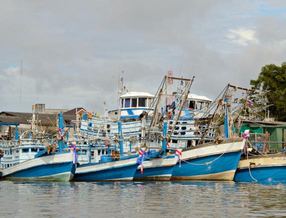 La pesca e i pescatori delle Marche in piena crisi