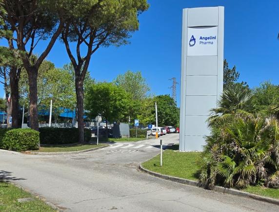 Elezioni RSU Angelini Pharma Ancona: record storico di affluenza.  La Femca Cisl Marche si conferma primo sindacato