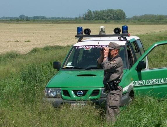 Corpo Forestale, sindacati contro l'accorpamento