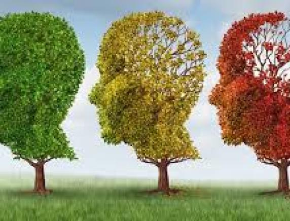 Alzheimer e malattie cerebrovascolari: prevenire è meglio