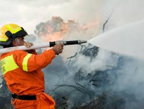 Rischio incendi boschivi, la Regione taglia i fondi