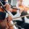 Orchestra Filarmonica Marchigiana: musicisti in stato di agitazione
